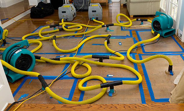 Professional Structural Drying And Dehumidification technician working in Creighton, MO