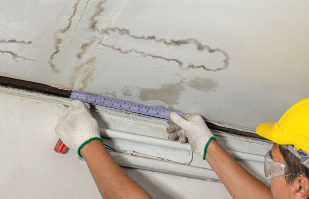 Affordable Structural Drying And Dehumidification solutions in Creighton, MO
